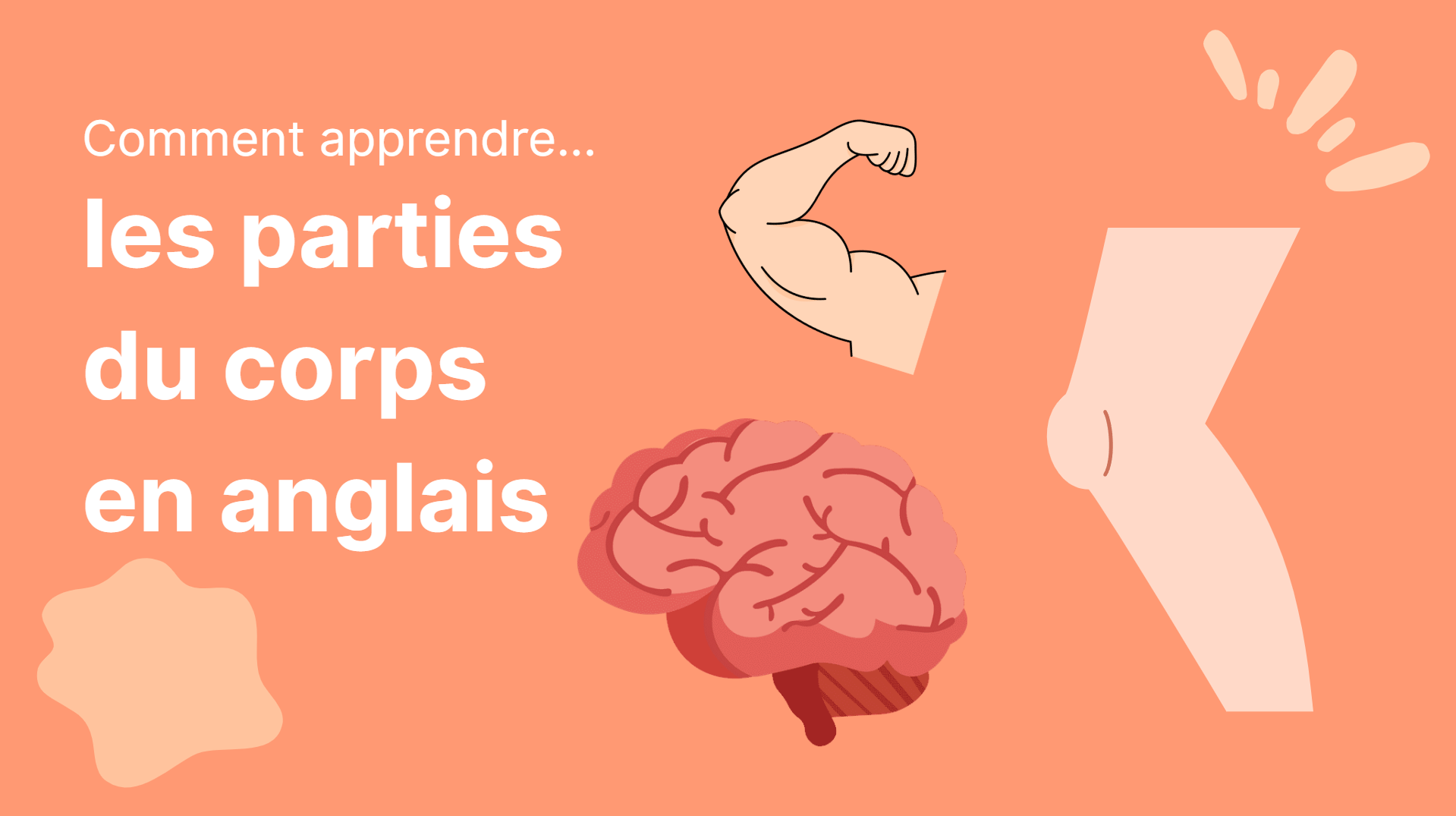Apprendre les parties du corps en anglais